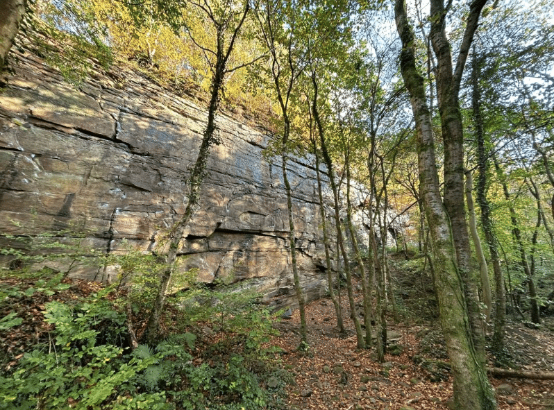 Middle Point Quarry Nine Mile Point Quarry hits the market - Quarry